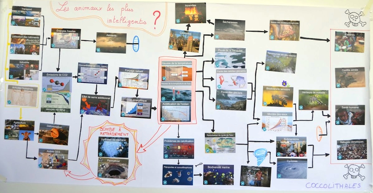 activity illustration